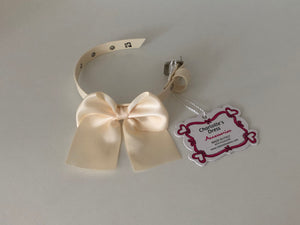 Collare Charlotte's Dress con Fiocco