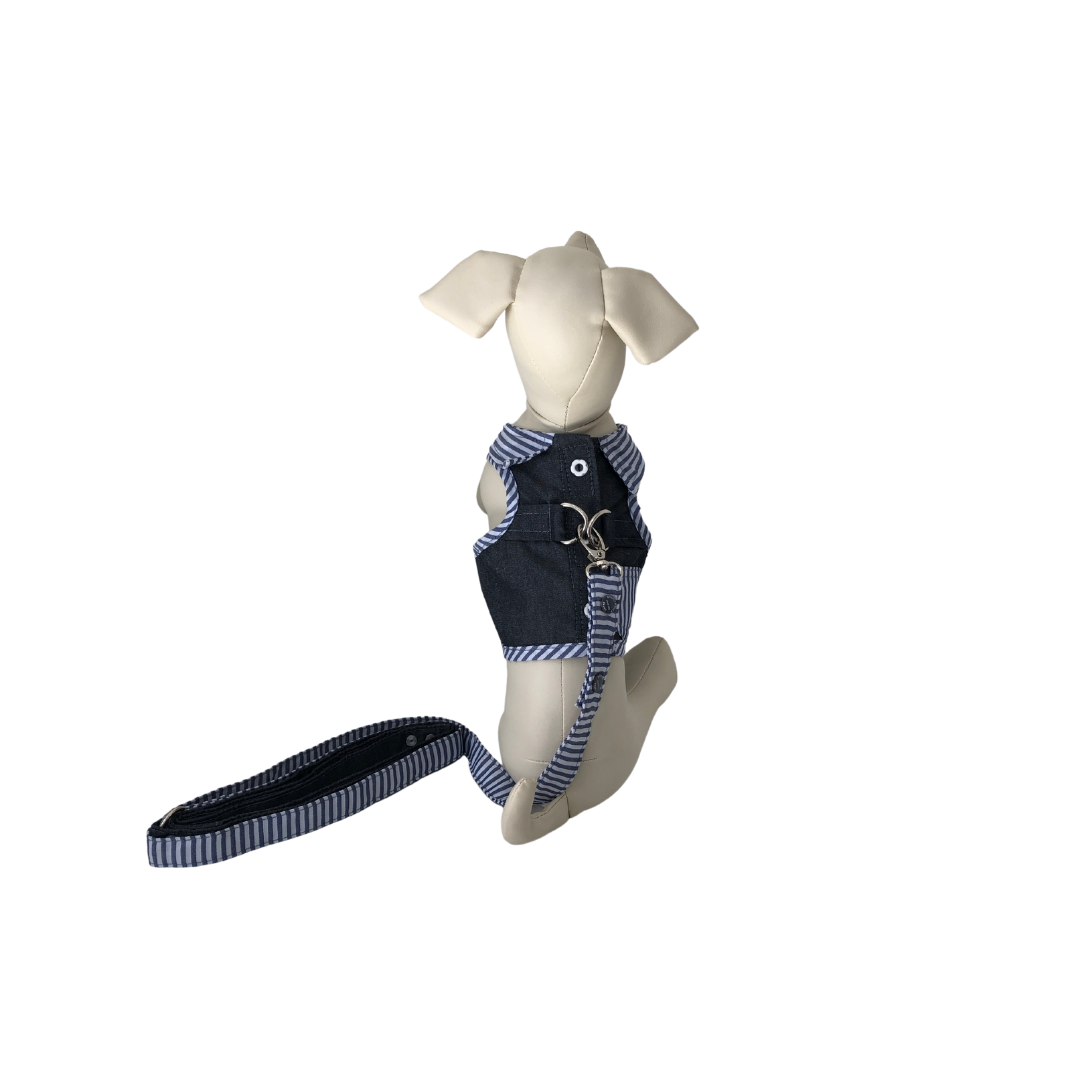DoggyDolly pettorina
