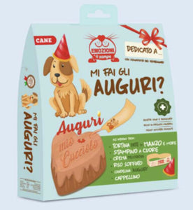 Torta Di Compleanno Per Cani e Gatti